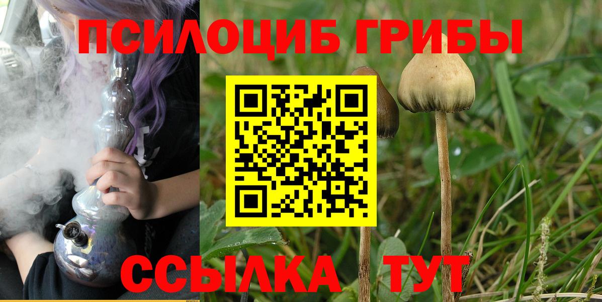 Псилоцибиновые грибы мухоморы Хасавюрт