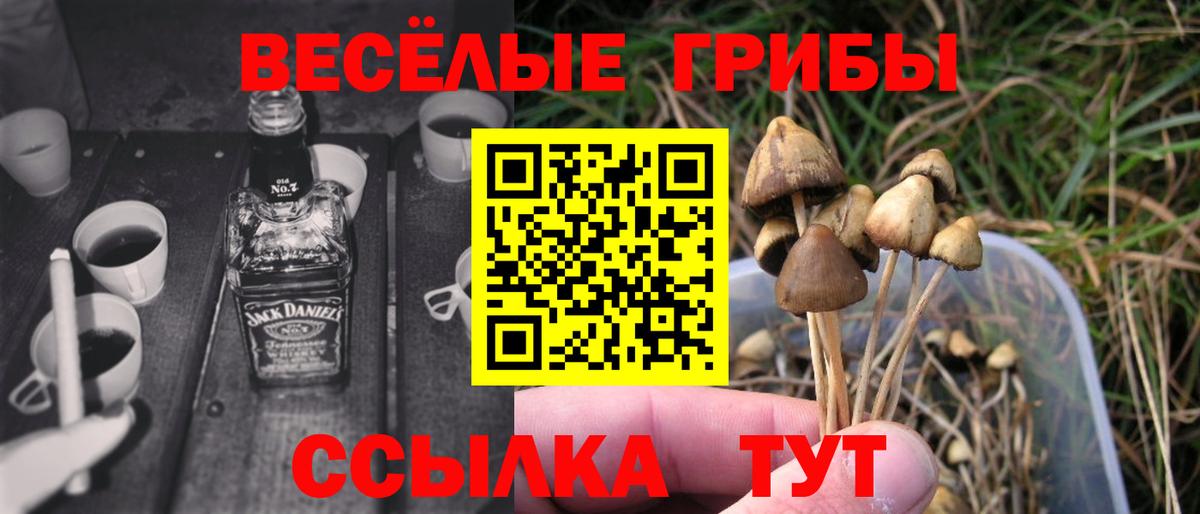 Хасавюрт  Псилоцибиновые грибы MAGIC MUSHROOMS  Вход с VPN  Псилоцибиновые грибы мухоморы 